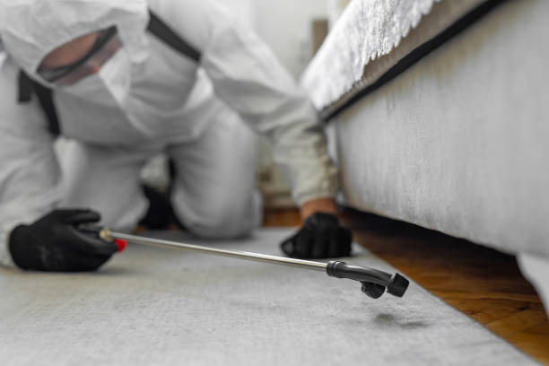 Professional Termite Control technician working in Woodacre, CA