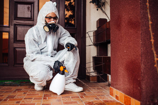 Reliable Termite Control contractor in Woodacre, CA by Nex Pest Control